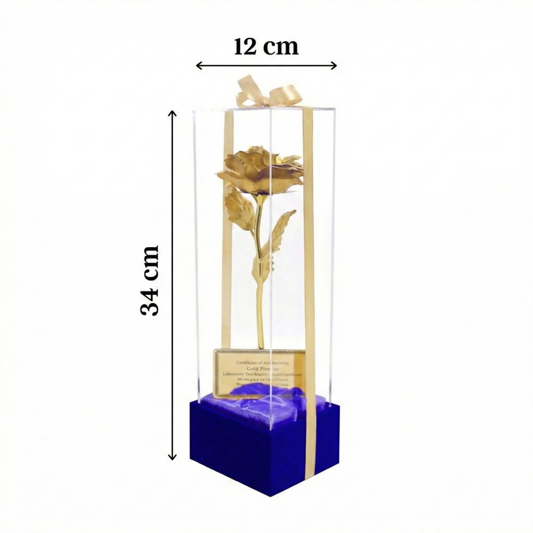 WhatsApp Image 2026-02-25 at 3.42.42 AM (1)