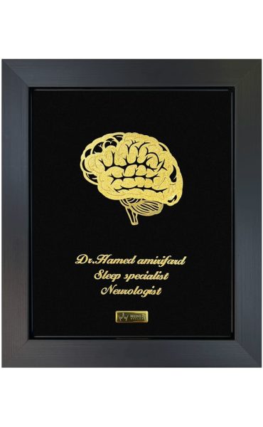 IMG-20260226-WA0033(1)