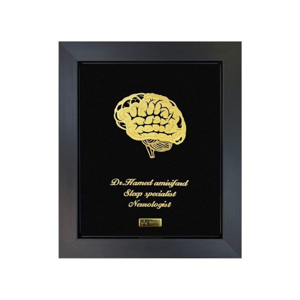 IMG-20260226-WA0033(1)